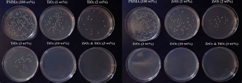 ltms.medu.cfu|cfu bacteria.